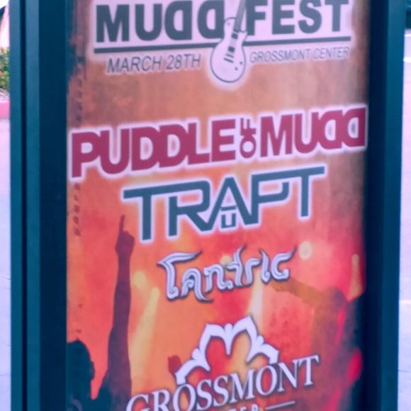 Meet your Posher, Carlos - Picture 1 of 1